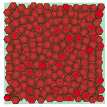 a cubic compact discrete domain